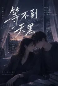 等不到天黑